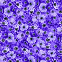 ttMEADOW-CD3953 PURPLE